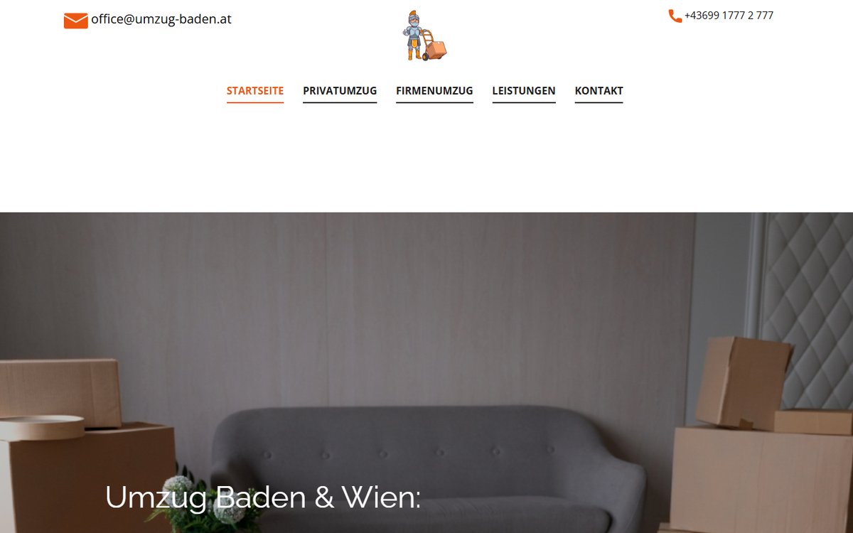 Umzug Baden Website
